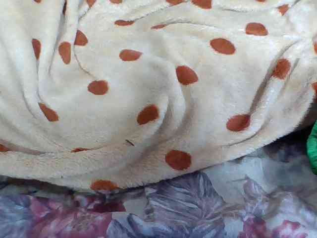 Juliah1a webcam