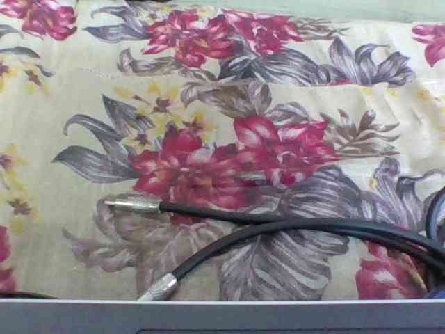 Juliah1a webcam