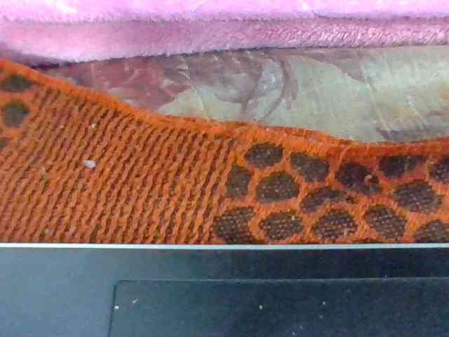 Juliah1a webcam