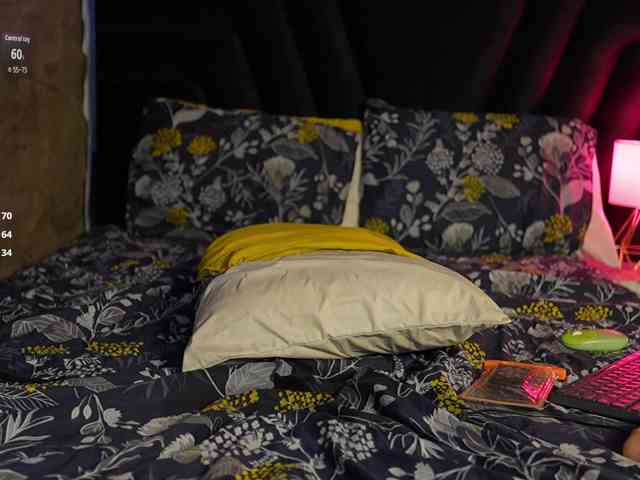 HoneyHips webcam