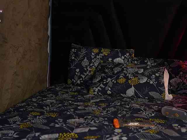 HoneyHips Live Webcam on BongaCams
