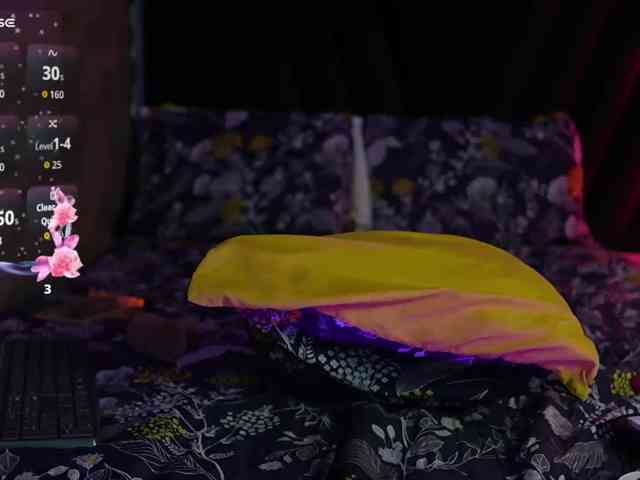 HoneyHips's webcam live show