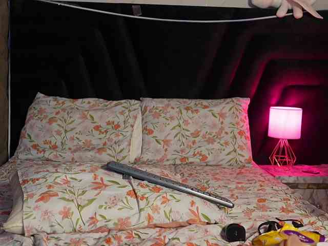 HoneyHips webcam