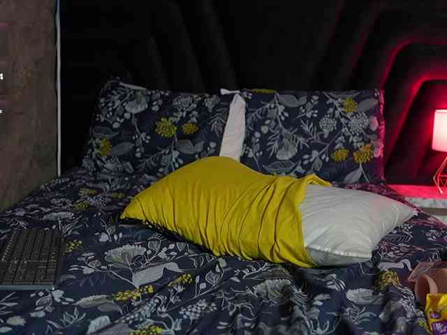 HoneyHips webcam