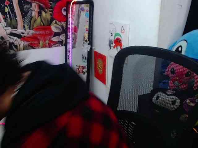 franki-reich webcam