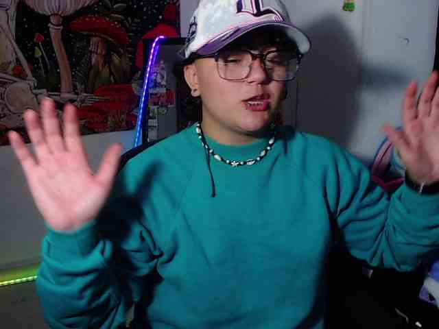 franki-reich webcam