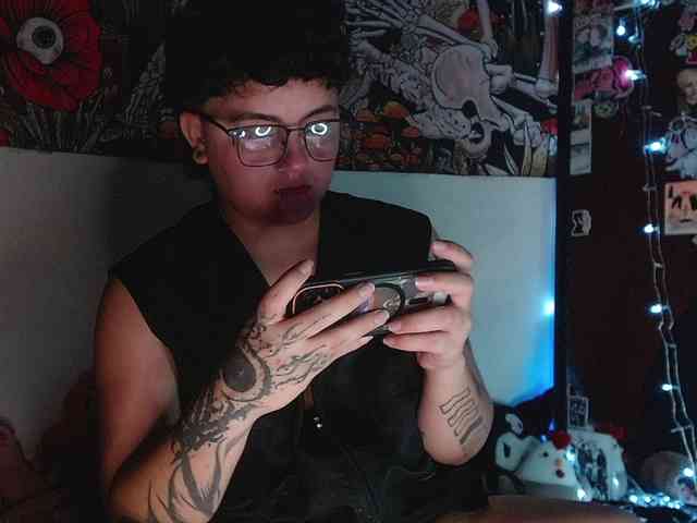 franki-reich webcam