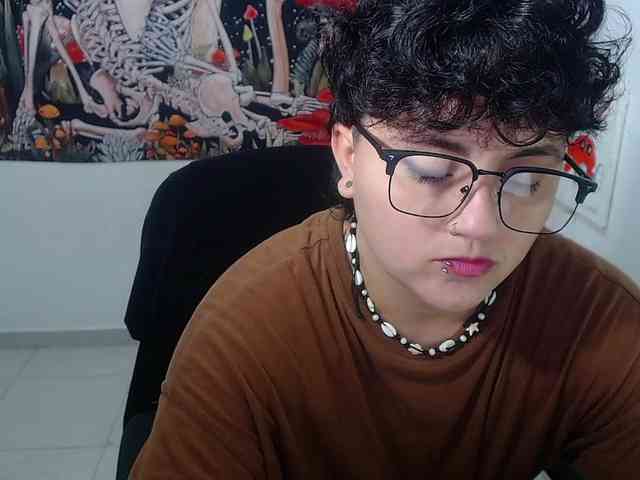 franki-reich webcam