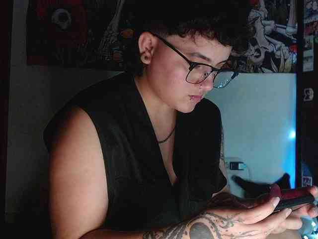 franki-reich webcam