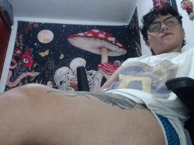 franki-reich webcam