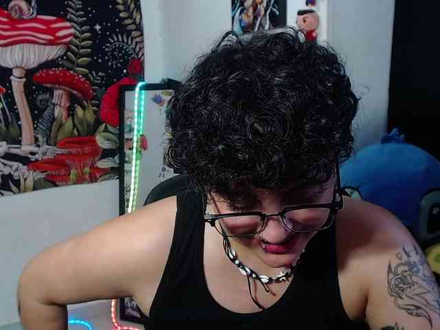 franki-reich webcam