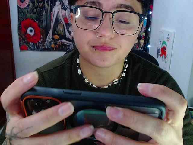 franki-reich webcam