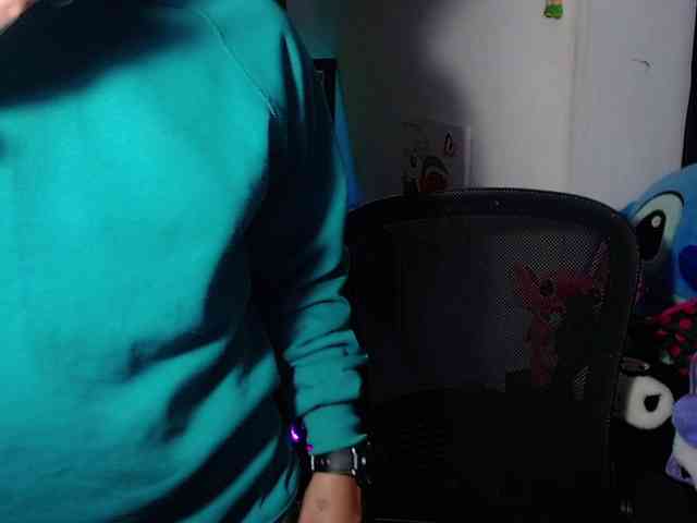 franki-reich webcam