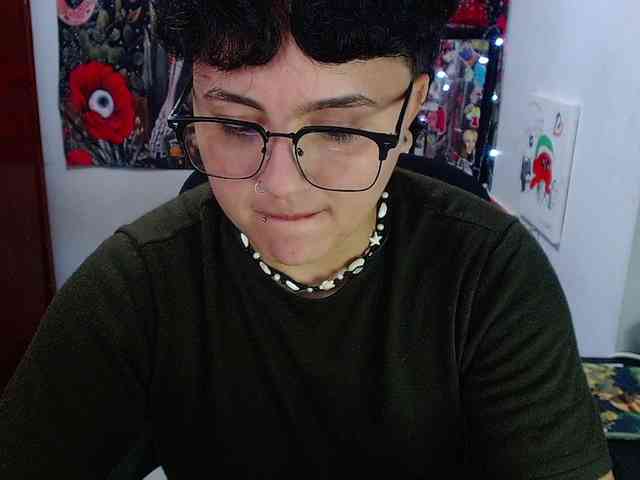 franki-reich webcam