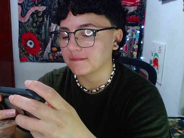 franki-reich webcam