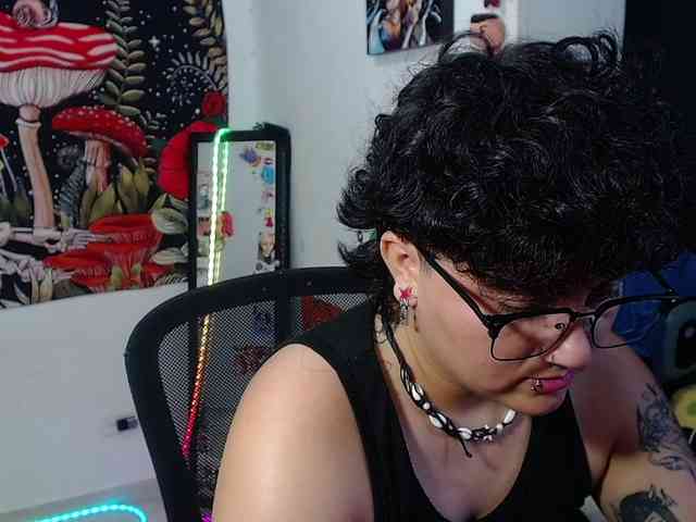 franki-reich webcam