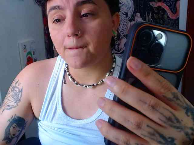 franki-reich webcam