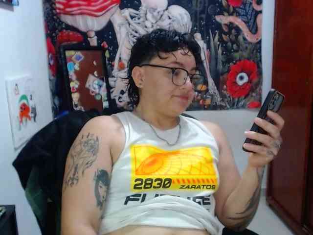 franki-reich webcam