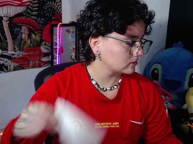 franki-reich webcam