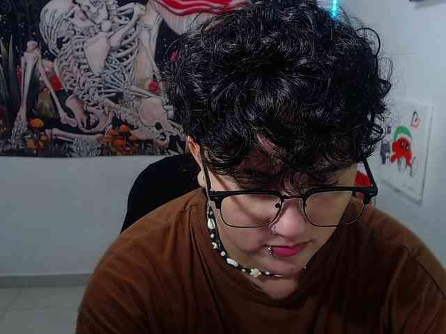 franki-reich webcam