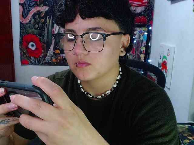 franki-reich webcam