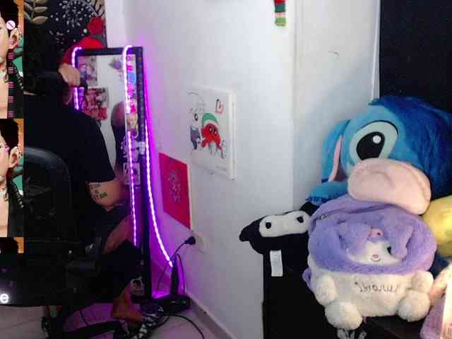 franki-reich webcam