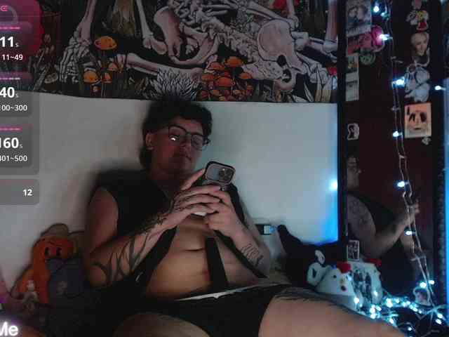 franki-reich webcam