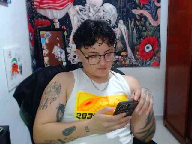 franki-reich webcam