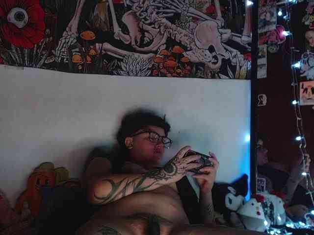 franki-reich webcam