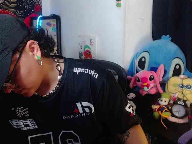 franki-reich webcam