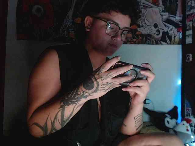 franki-reich webcam