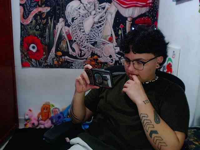 franki-reich webcam