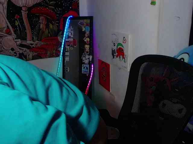 franki-reich webcam