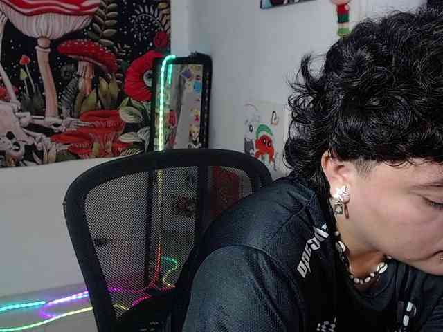 franki-reich webcam