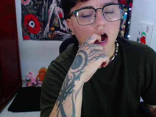 franki-reich webcam