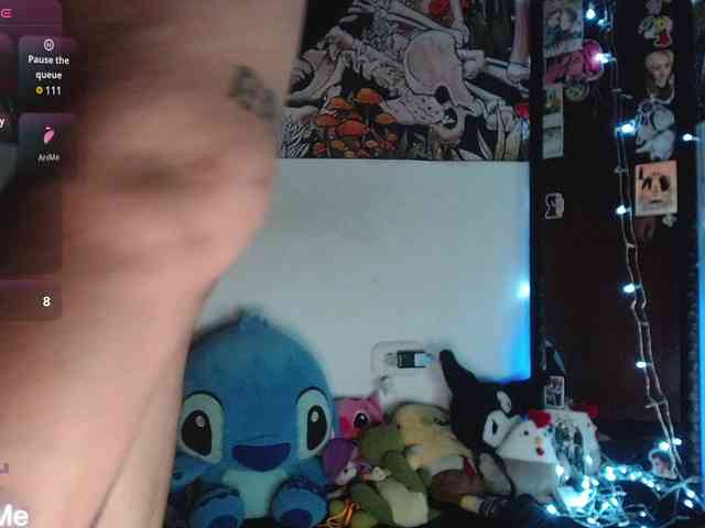 franki-reich webcam