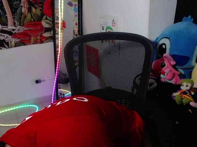 franki-reich webcam