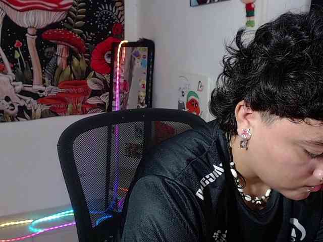 franki-reich webcam
