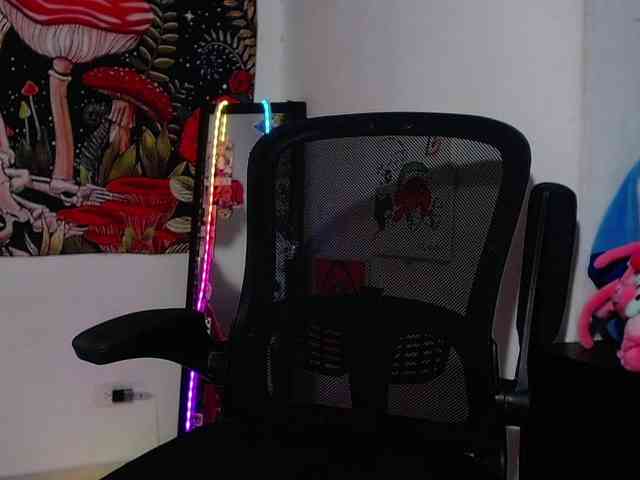 franki-reich webcam