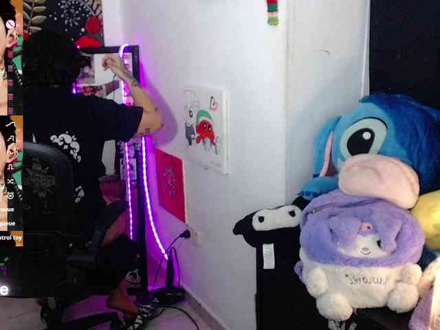 franki-reich webcam