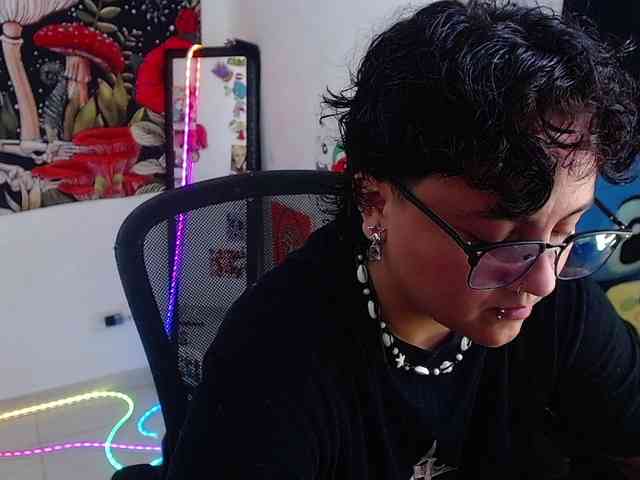 franki-reich webcam