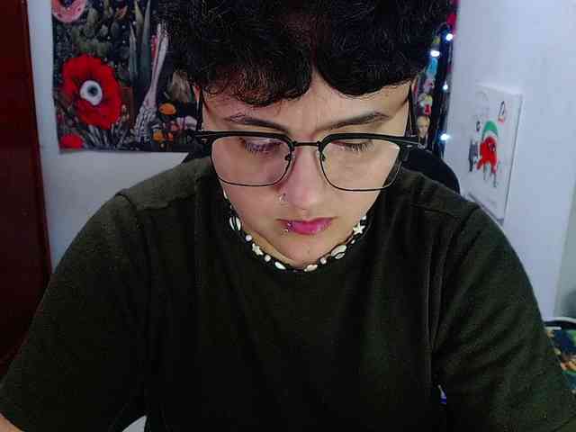 franki-reich webcam