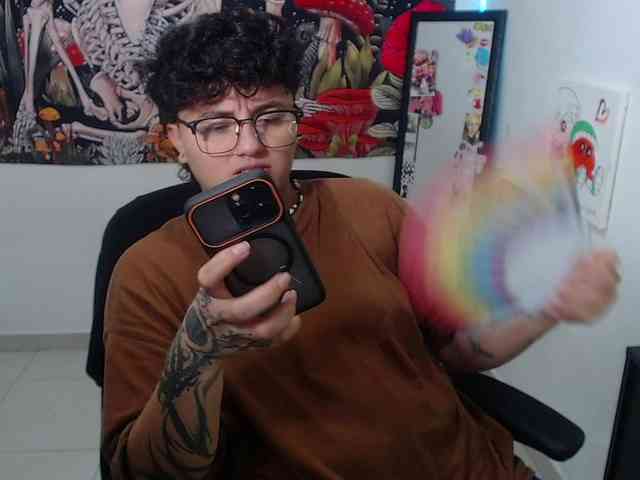 franki-reich webcam