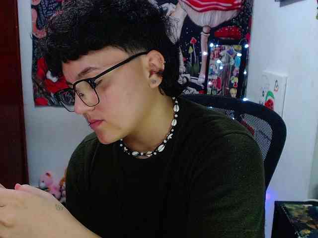 franki-reich webcam