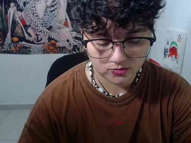 franki-reich webcam