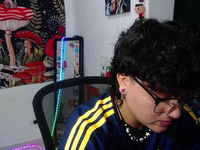 franki-reich webcam