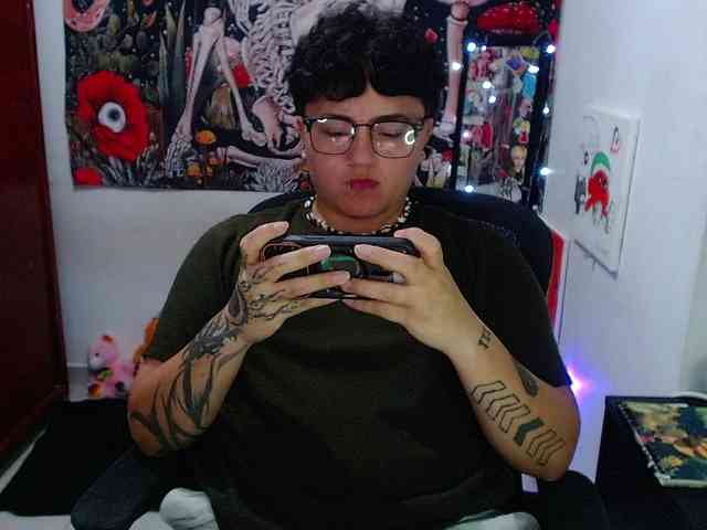 franki-reich webcam