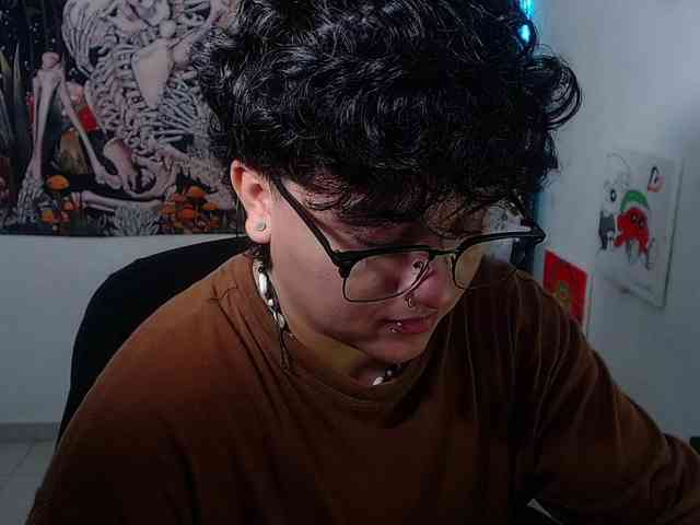 franki-reich webcam