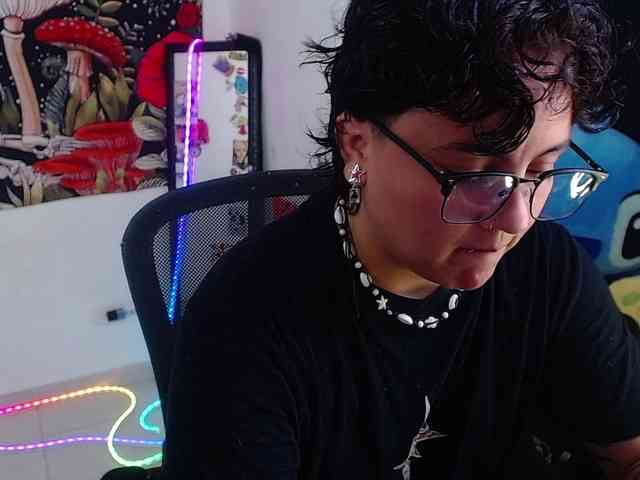 franki-reich webcam