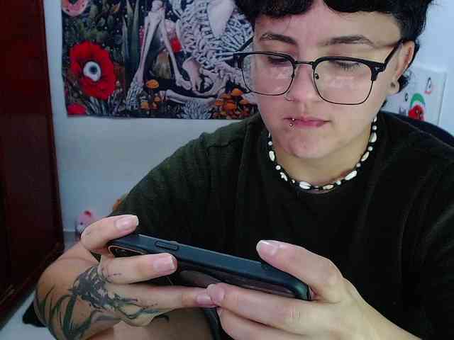 franki-reich webcam